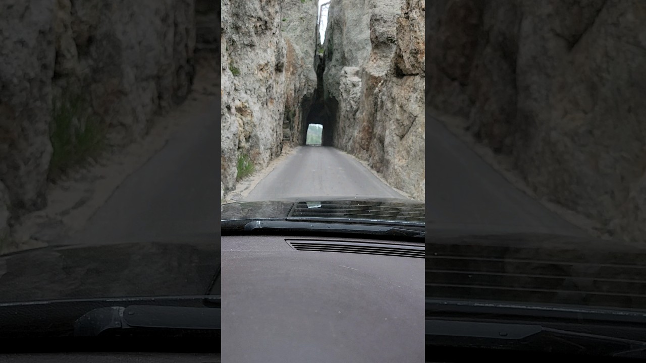 Driving Through Needles Eye Tunnel Custer State Park #shorts #southdakota #blackhills #tunnel