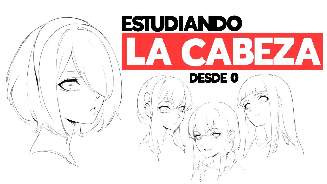 Así aprendí a dibujar mejor LA CABEZA