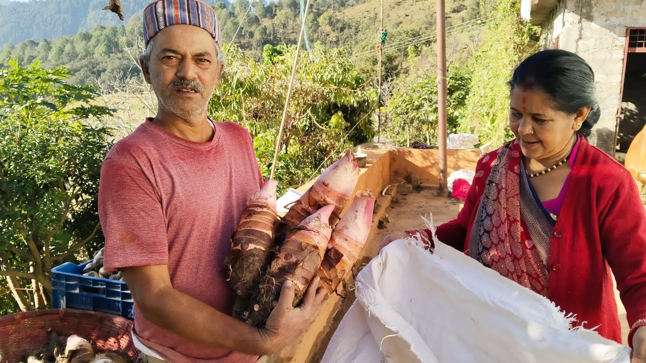 देहरादून उत्तराखंड राज्य स्थापना दिवस पर महिला समूह जैविक  सब्जी प्रदर्शनी गांव पहाड़ 