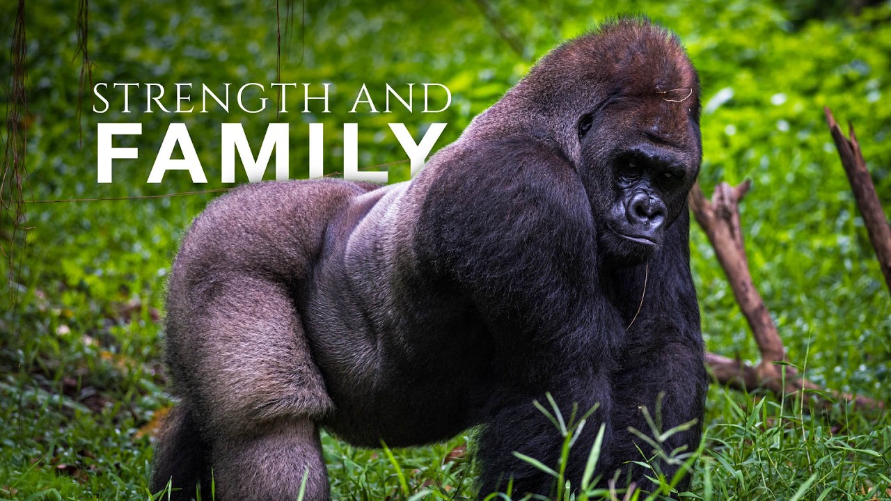 Herbivores in Africa the Deadliest Race for Survival