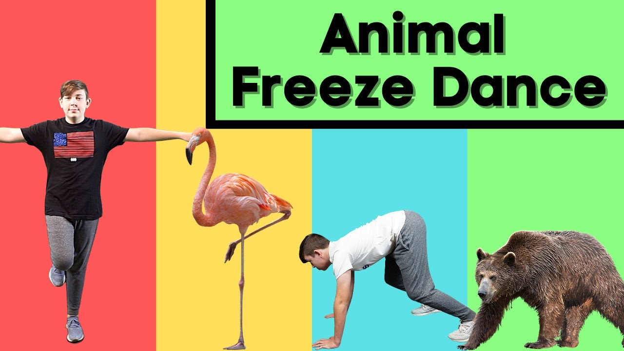 Animal Freeze Dance | Follow Along Activities for Kids