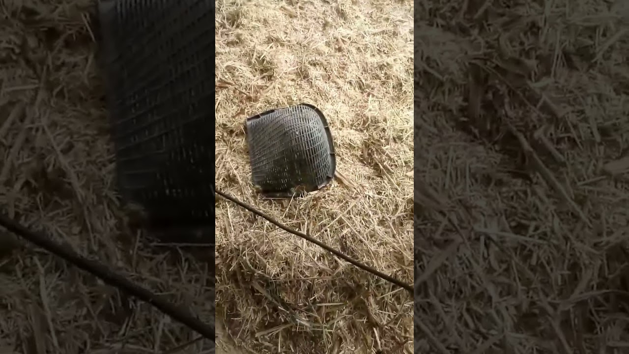 Fine grass blender 