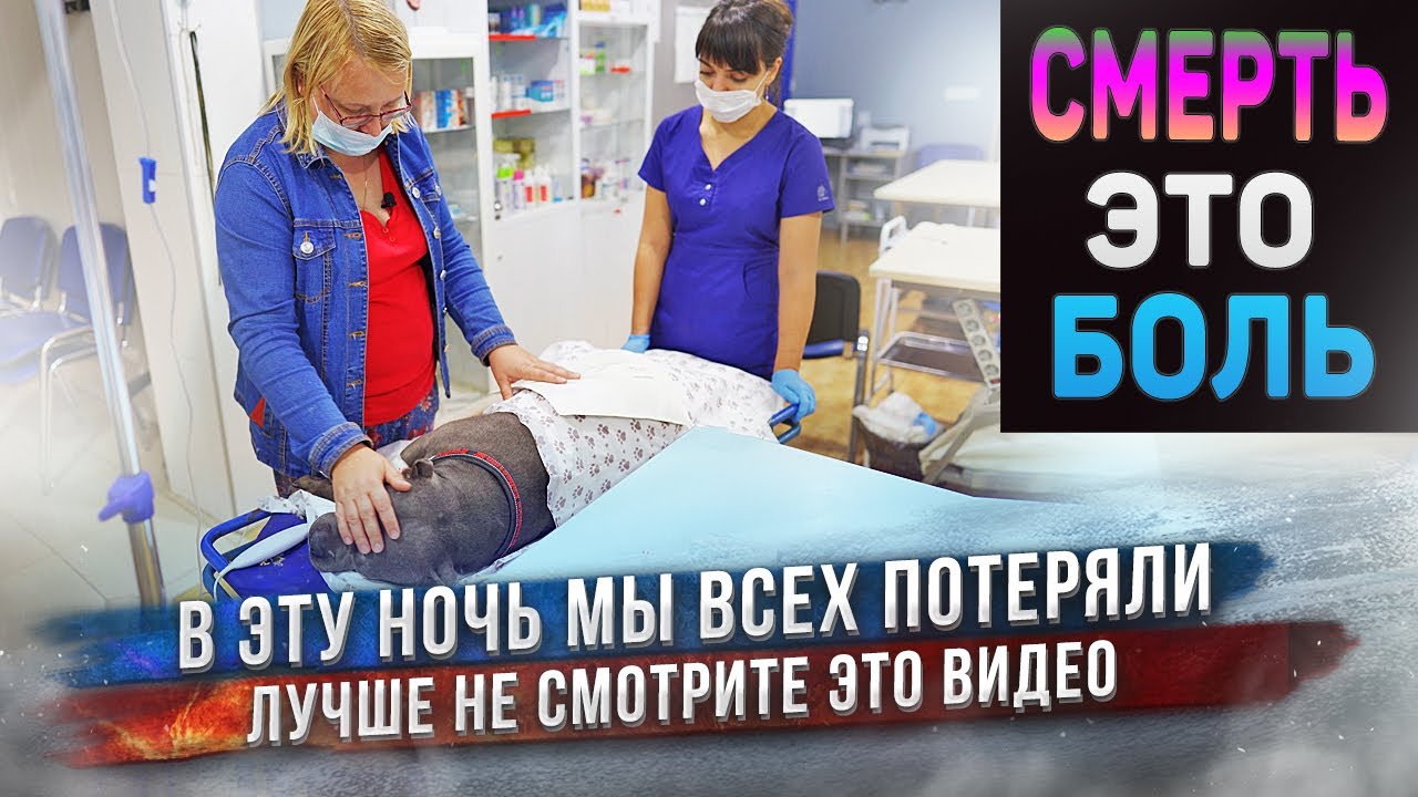 Всё очень плохо...😥