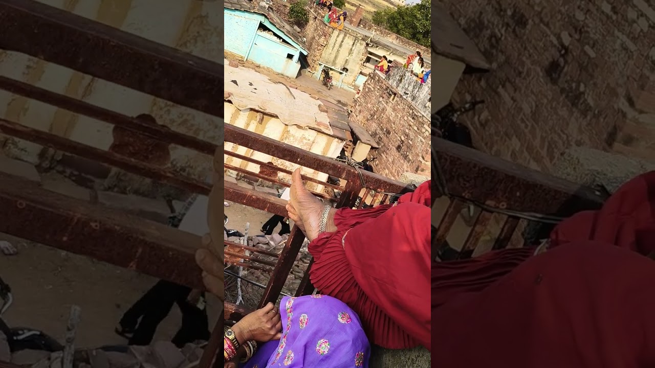 गोठरा कन्हैया पार्टी धांधूरेत में तहलका