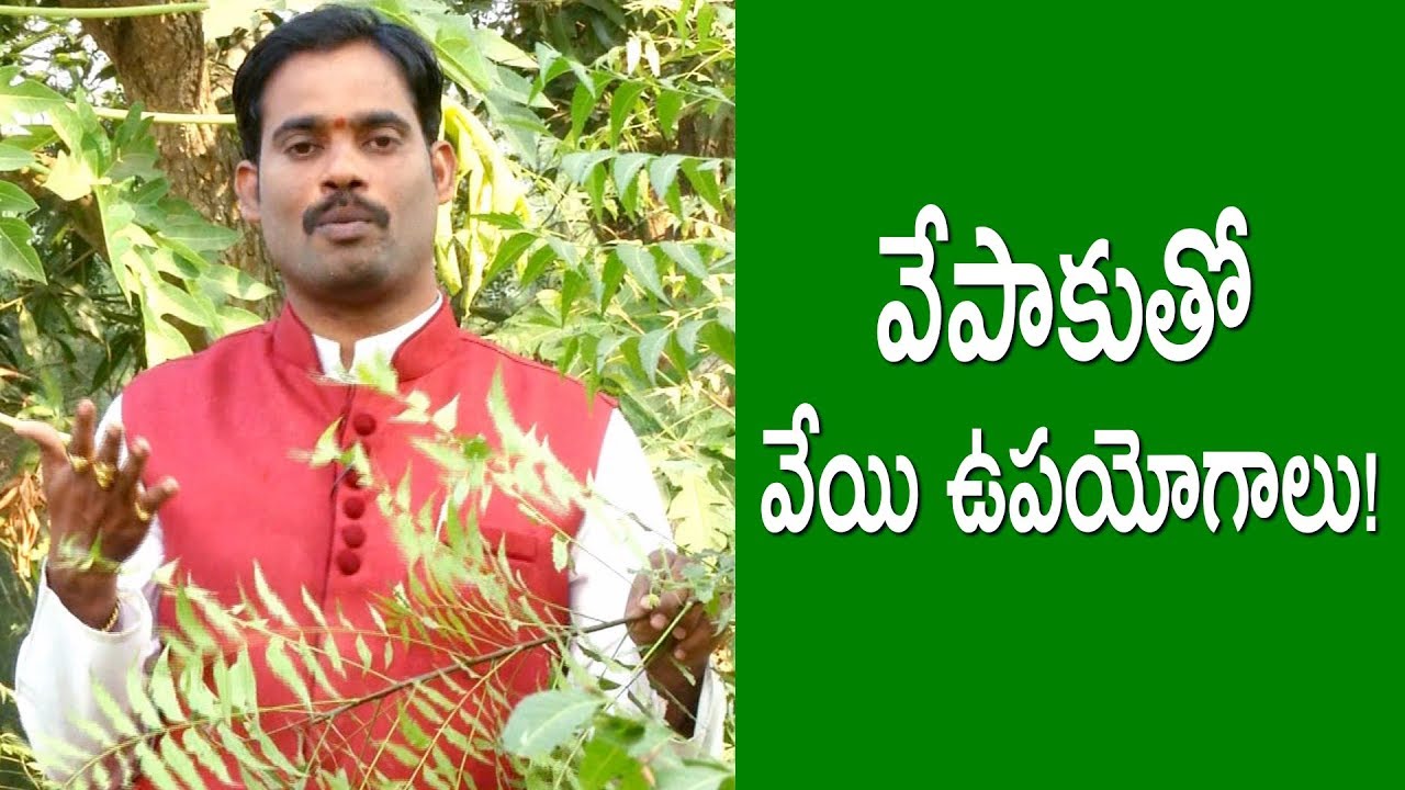 వేపాకుతో వేయి ఉపయోగాలు!