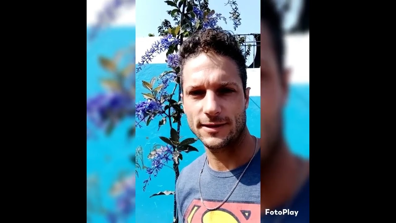 Nuevo video.. Floracion de Wisteria Petrea y variedad de girasol oleaginoso para finalizar 🌻😎🌎🤗🌳
