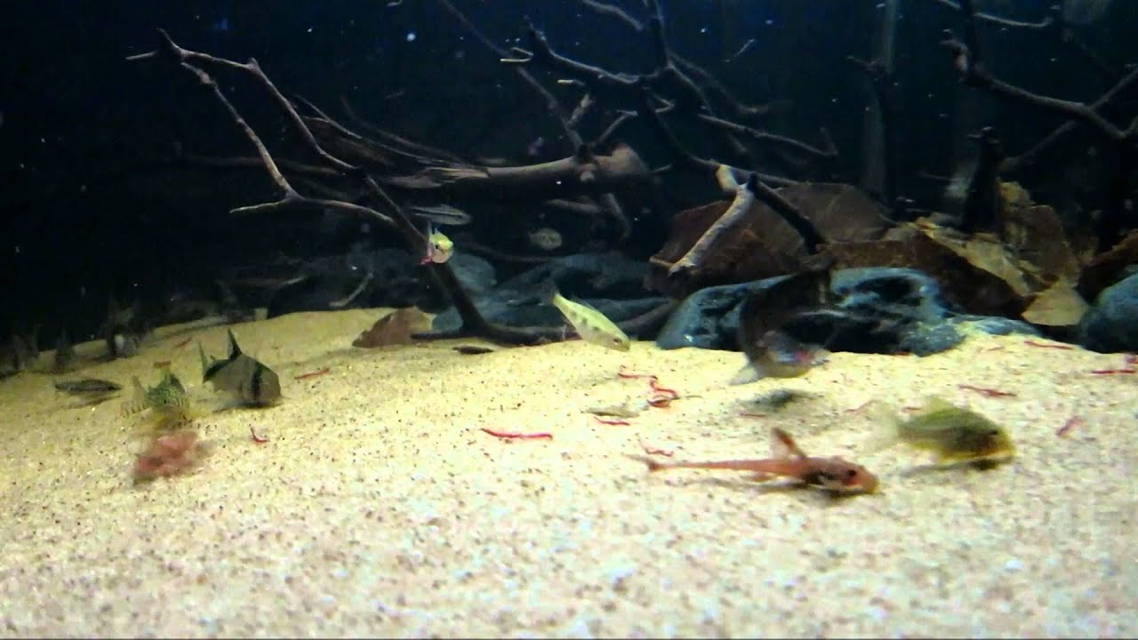 Sneak peek of the new Mr  Aqua ma 610 tank!