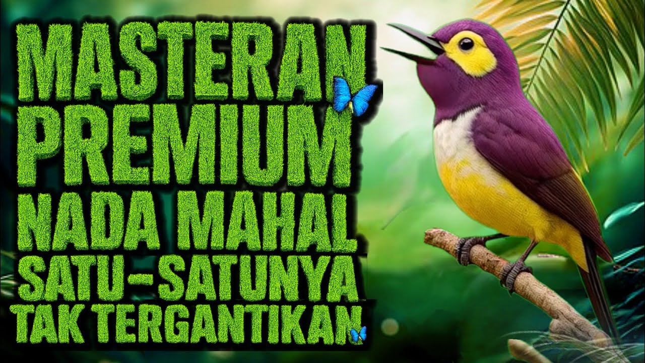 OFFICIAL VIDEO – MASTERAN BURUNG PREMIUM Nada Mahal • Satu-Satunya yang Tak Tergantikan 