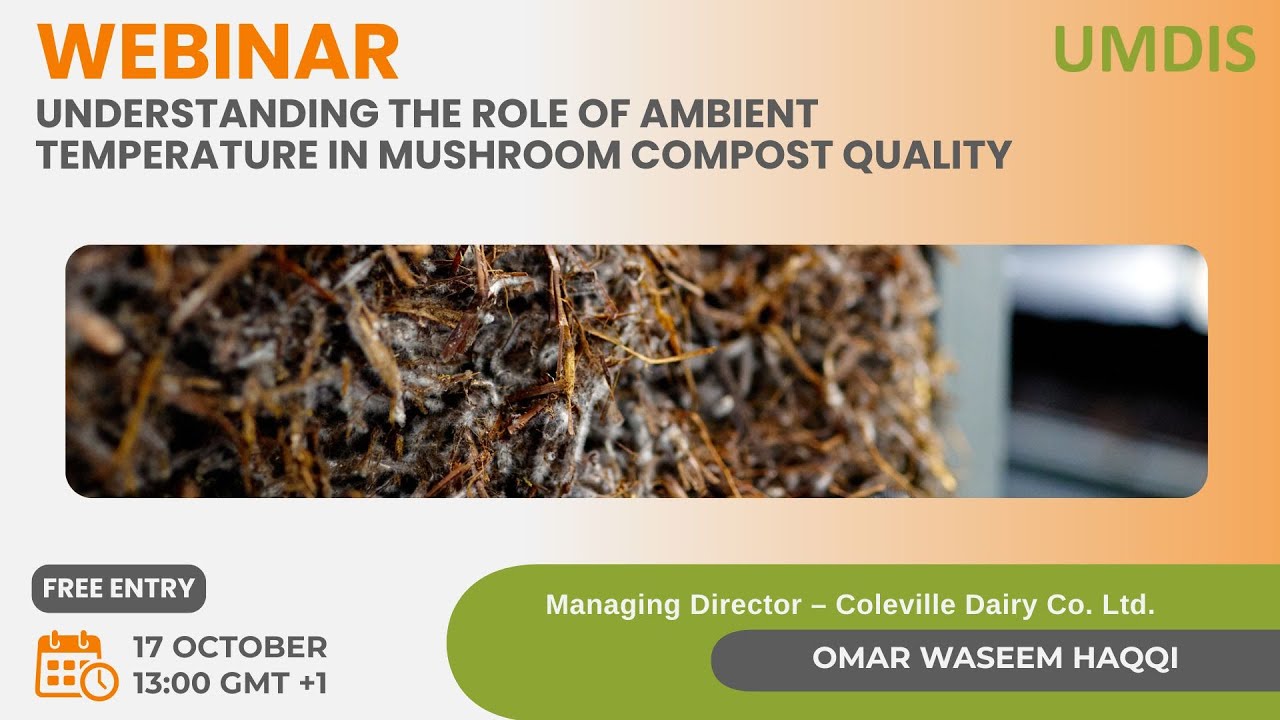Composting Webinar Understanding the role of ambient temperature in mushroom compost quality