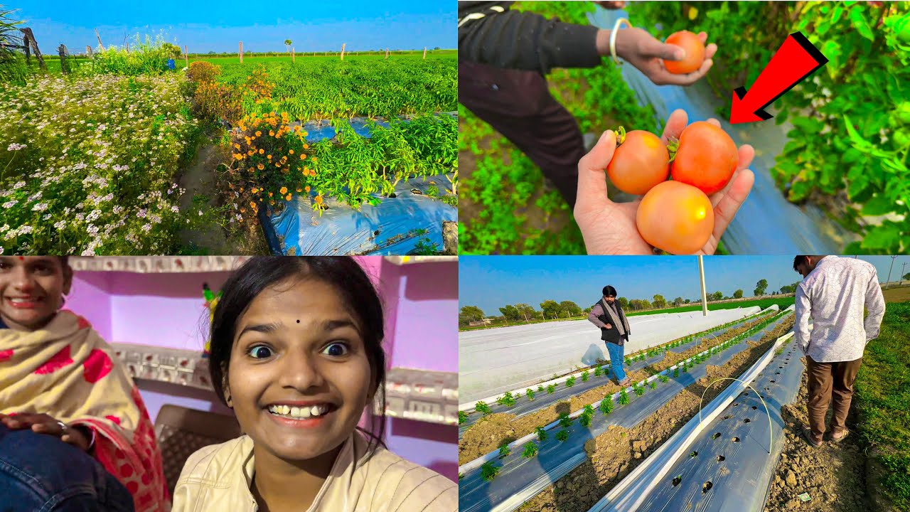 बुआ जी का Farm 👨‍🌾 full masti 😊