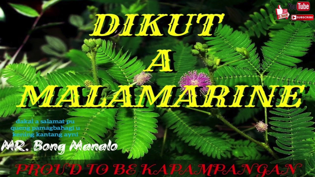DIKUT A MALAMARINE//BONG MANALO