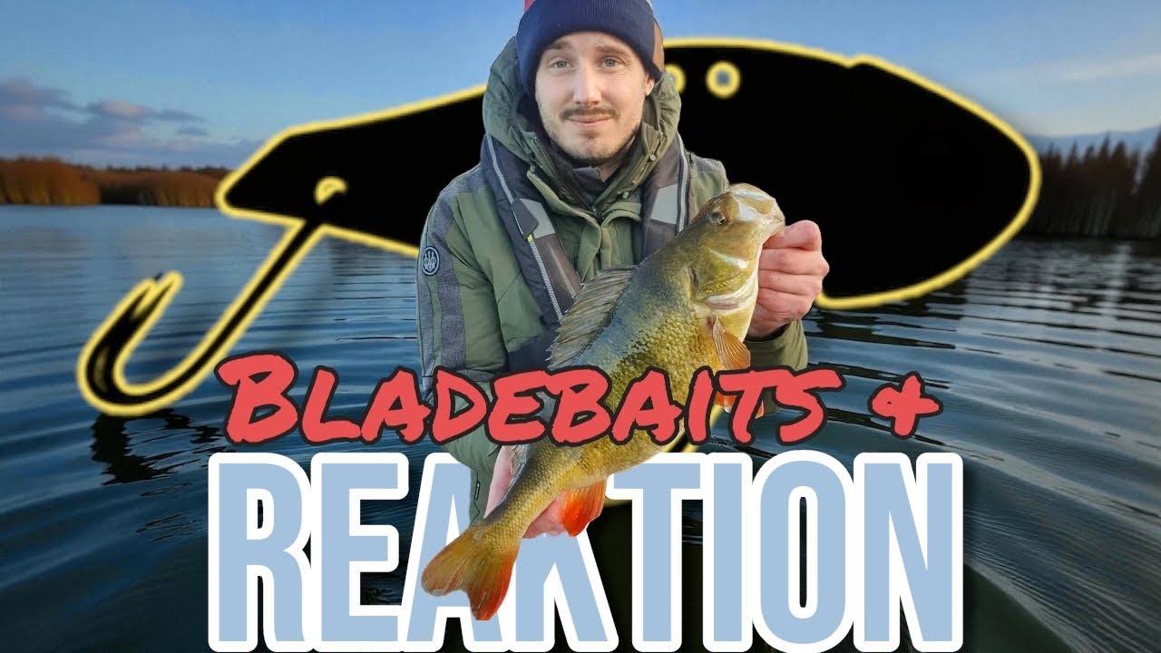 FÅNGA tröga ABBORRAR med BLADEBAITS!