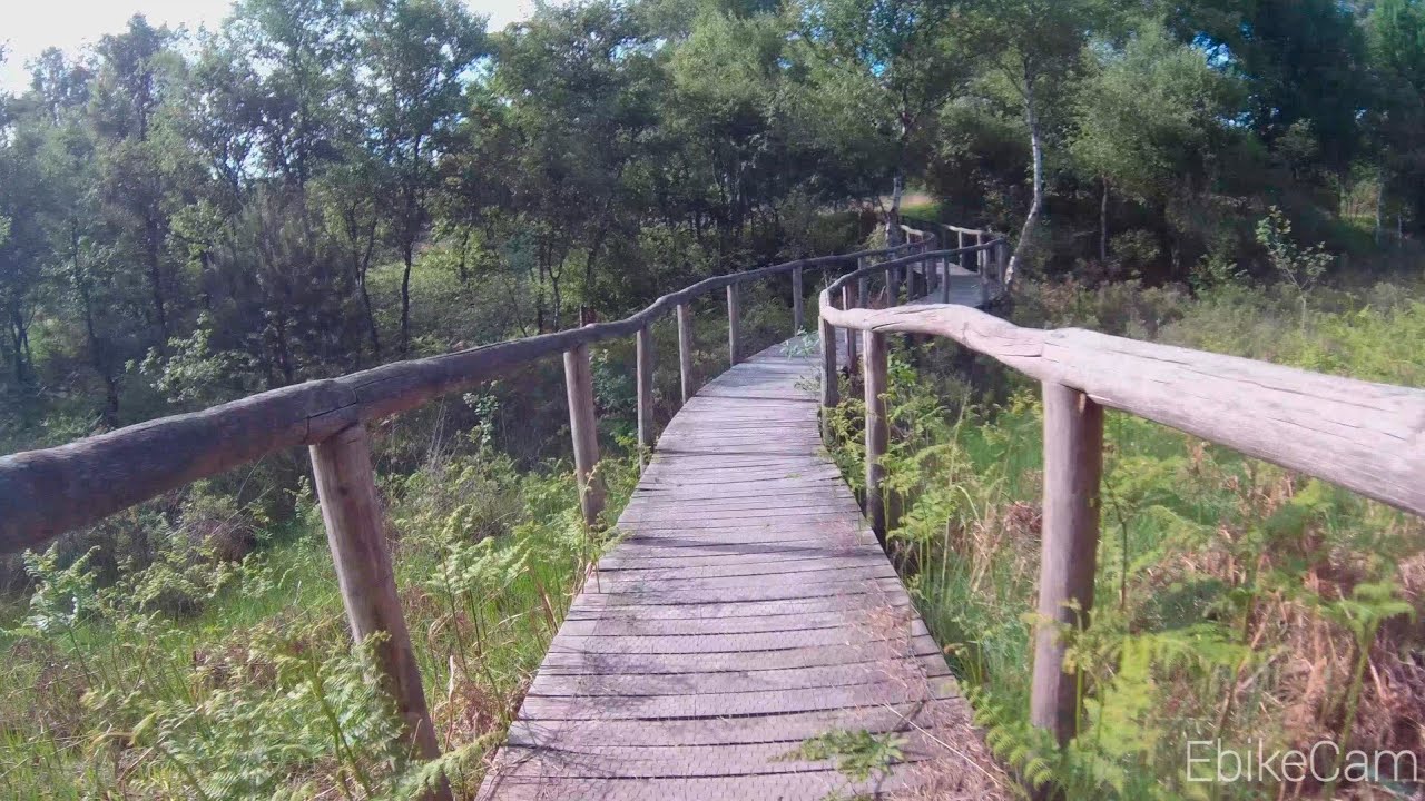 De Meinweg Nationalpark - Mai 2022 (Ebike)