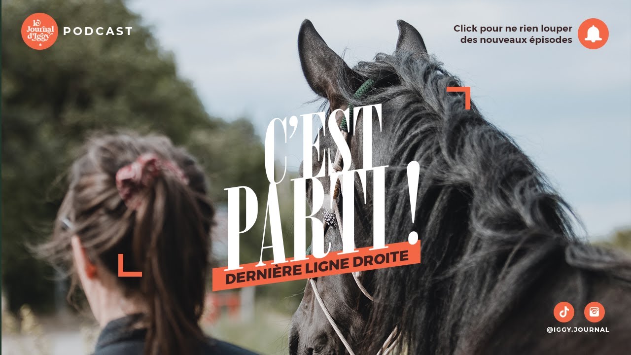 Chapitre 5 - Accueillir son cheval