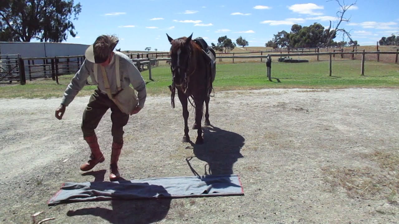 Folding a Light Horse saddle blanket practical demonstration.