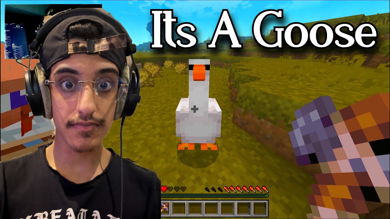 Minecraft, But It Has 1000 MODS!