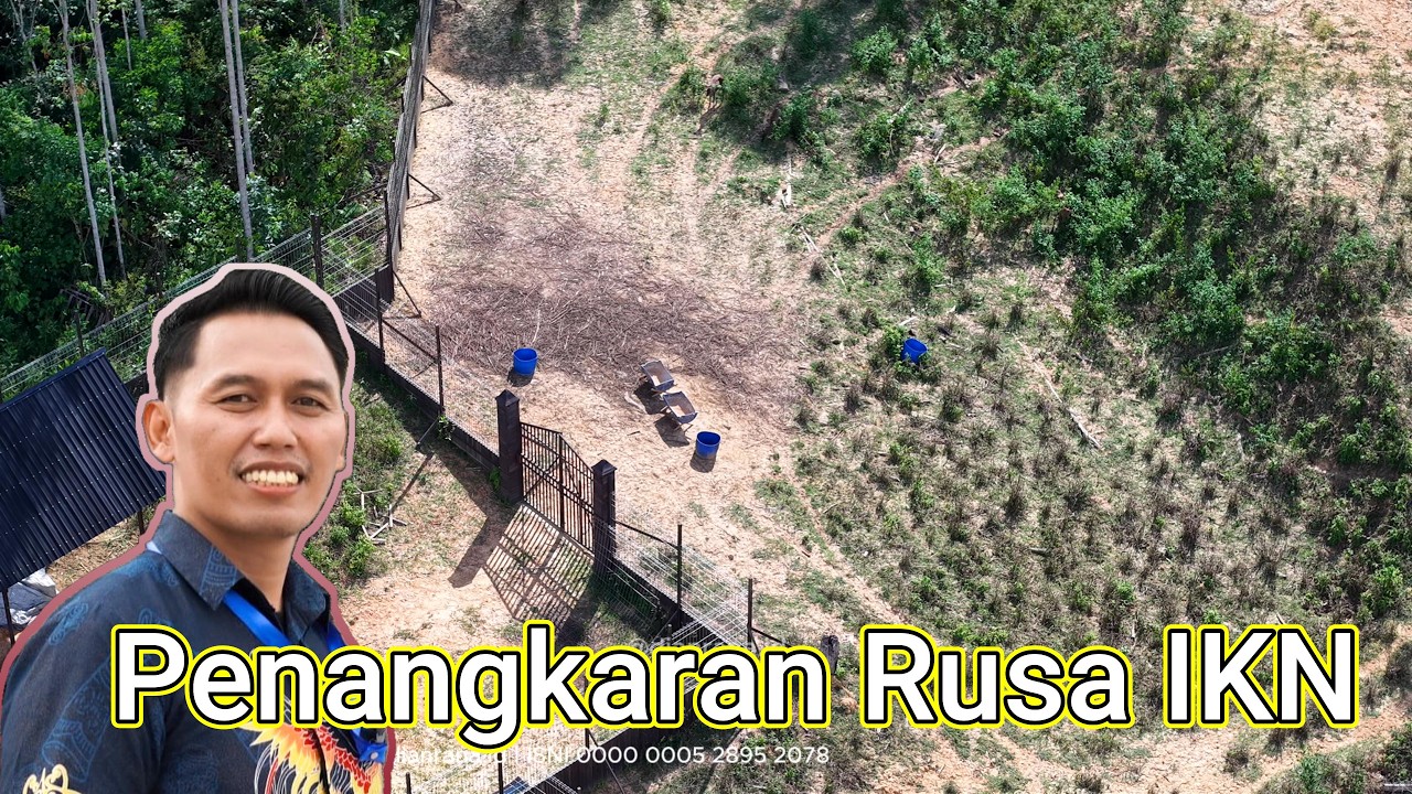 Penangkaran Rusa IKN, SMA Taruna | Kabar Nusantara bersama Dian Rana #Dianrana