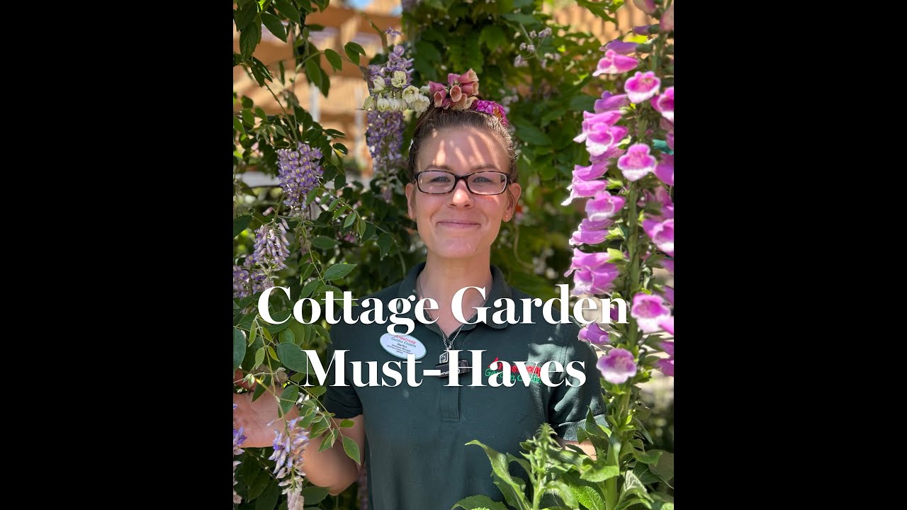 How to Grow an English Cottage Garden in California!