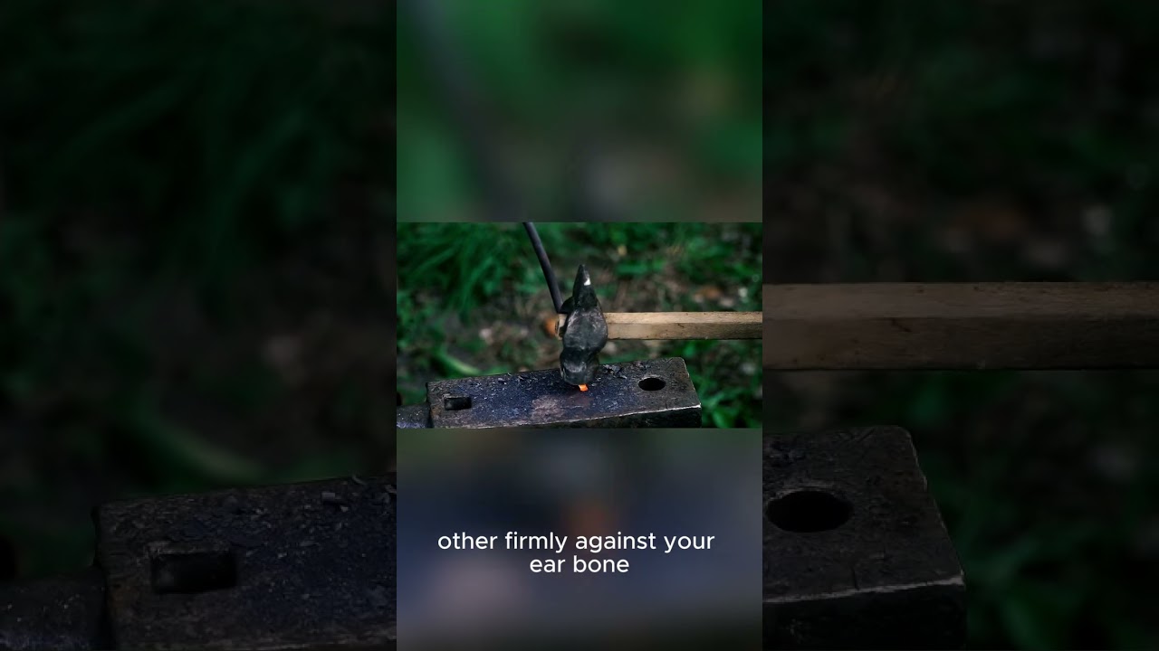 Fix Engine Noise With a Wooden Stick?!