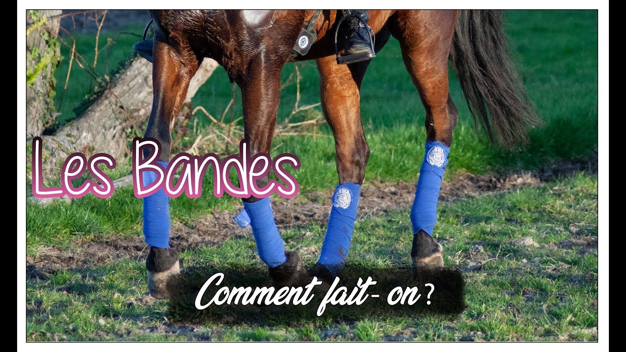 COMMENT POSER DES BANDES DE POLO ! 🐎🌞 - PASSION DRESSAGE