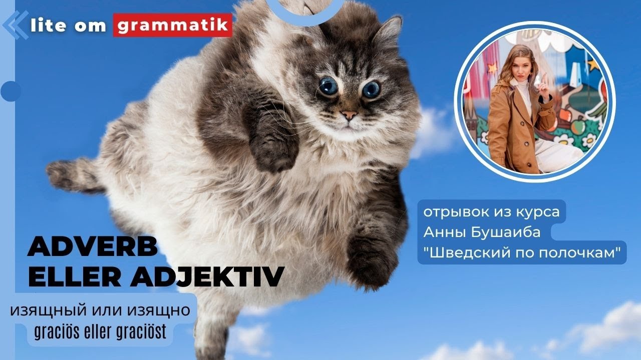 Шведский язык. Прилагательное или наречие. Как не путать: graciös eller graciöst?
