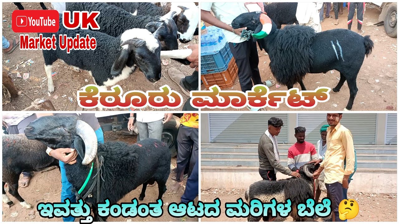 ಕೆರೂರು ಸಂತೆ ‌[ Keruru Sheep and Gout Market ]. Tuesday Market. : 8 . 4 . 2025 😍