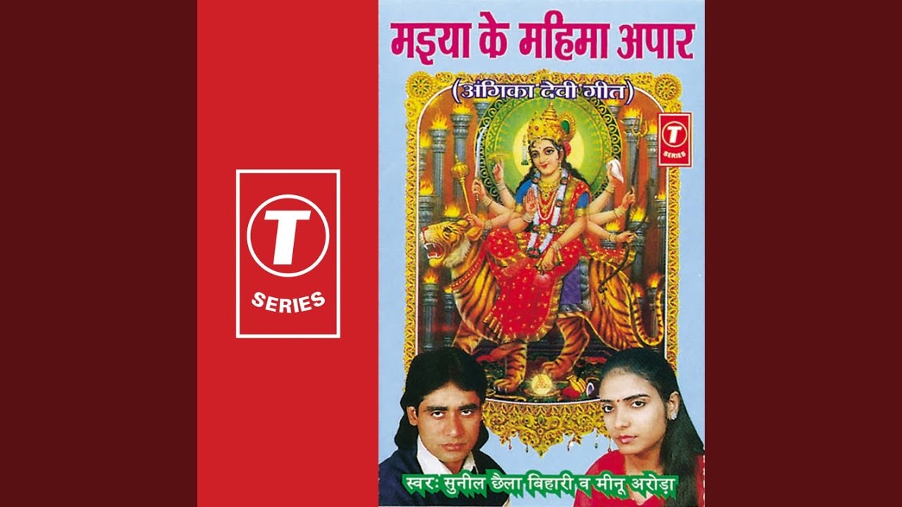 Aadi Shakti Navroop Dhaarini