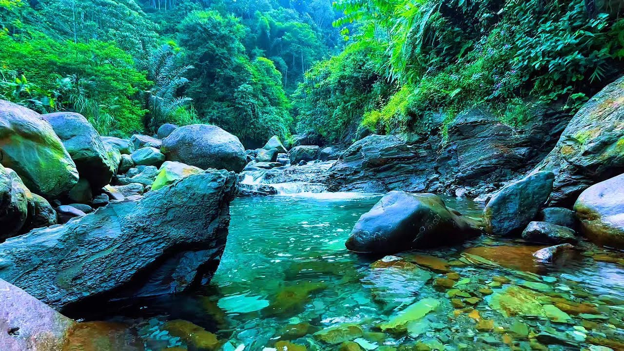 Serene River Flowing Sounds for a Full Night&rsquo;s Sleep | Stress-Free Natural Sleep Audio