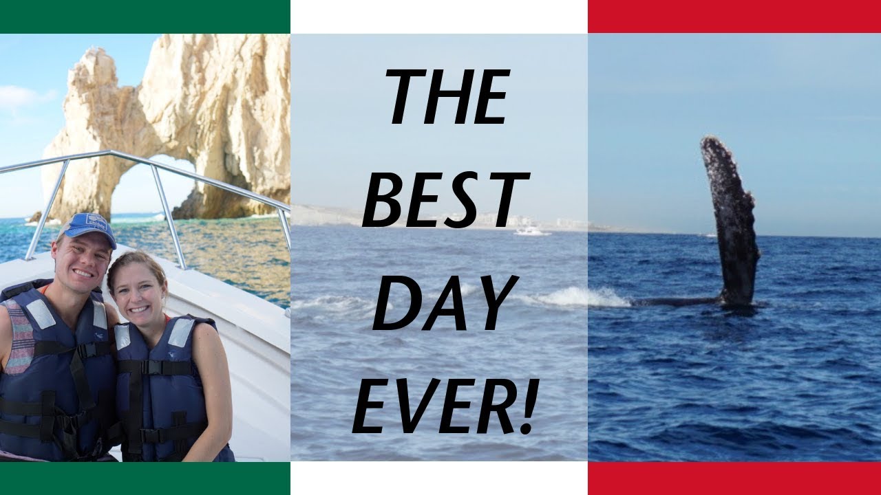 A Day We Will NEVER Forget! 🐳 (Cabo Whale Watching Tour)