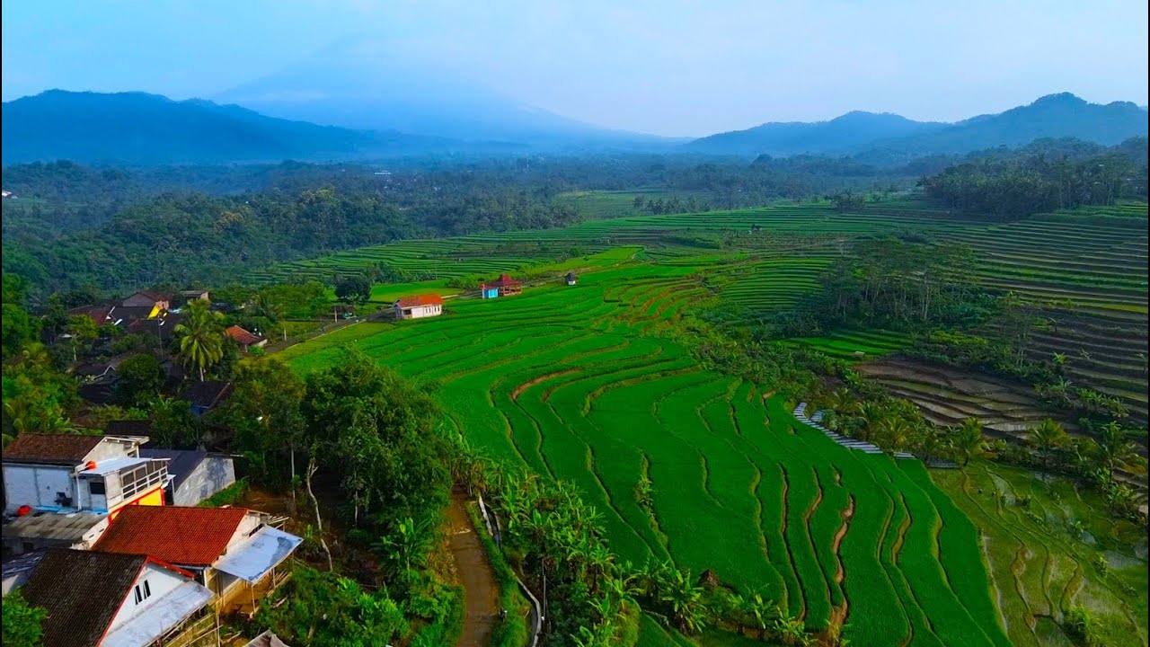 BAK LUKISAN NYATA, DESA DENGAN PEMANDANGAN SAWAH DAN GUNUNG