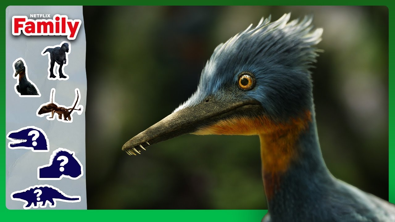 Collect Dinosaur Stickers! 🦖 The Dinosaurs | Netflix Family