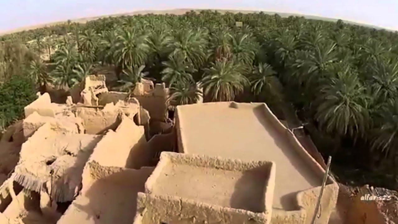 شـيـلـة سـديـر