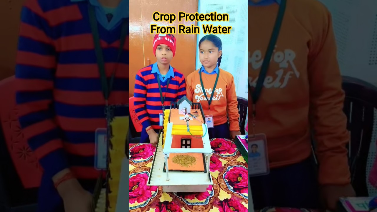 Crop Protection From Rain Water 💦🌊 