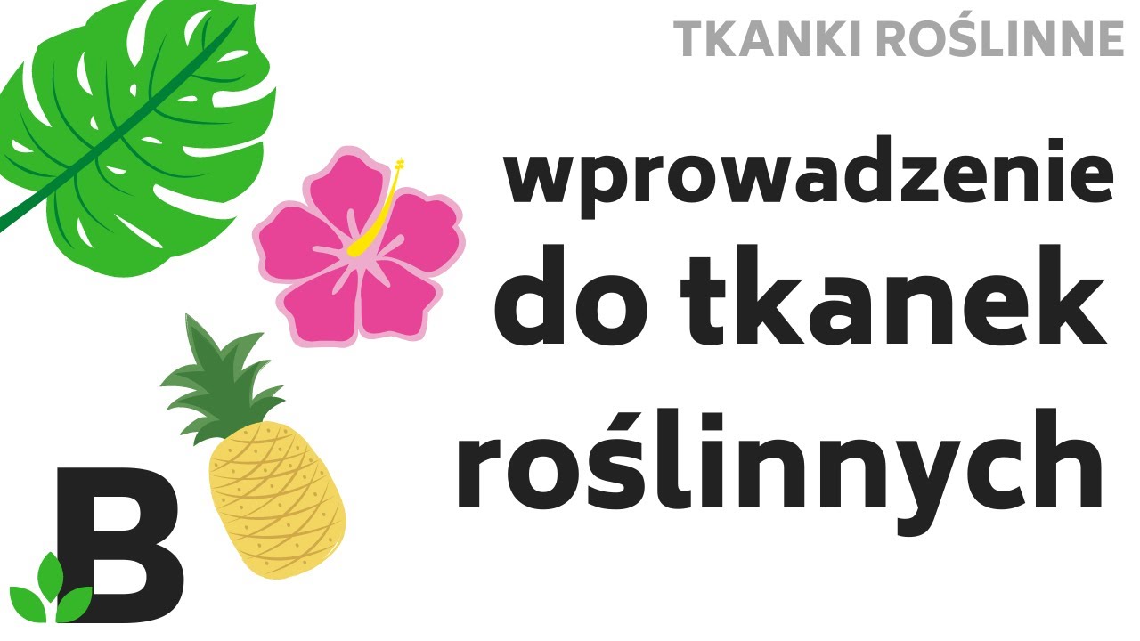 Tkanki Roślinne &ndash; Wprowadzenie do tkanek roślinnych #pektyny #plazmodesmy #protoplast &ndash; 372