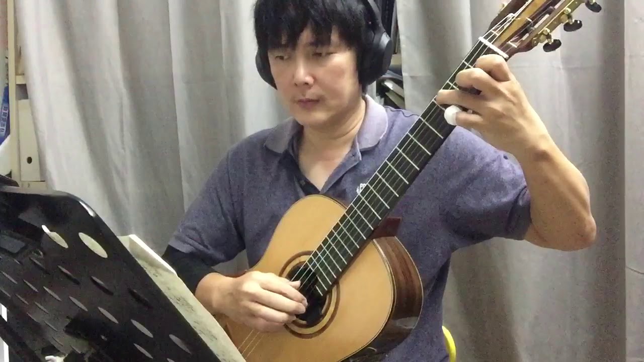 橄榄树