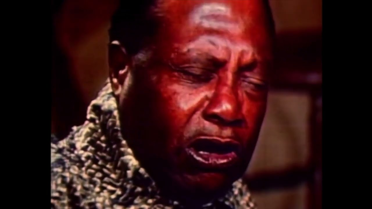 Bukka White - Freight Train Blues