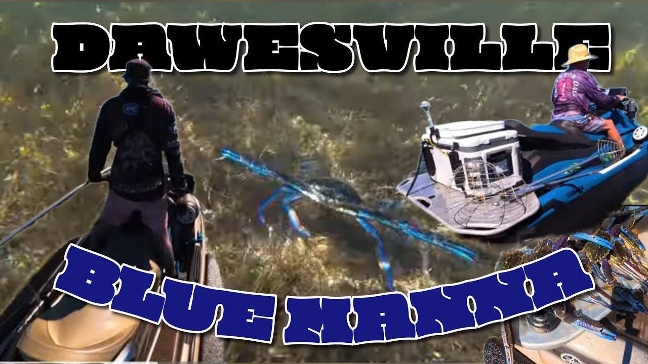 CRABBING FROM JETSKI | DAWESVILLE 