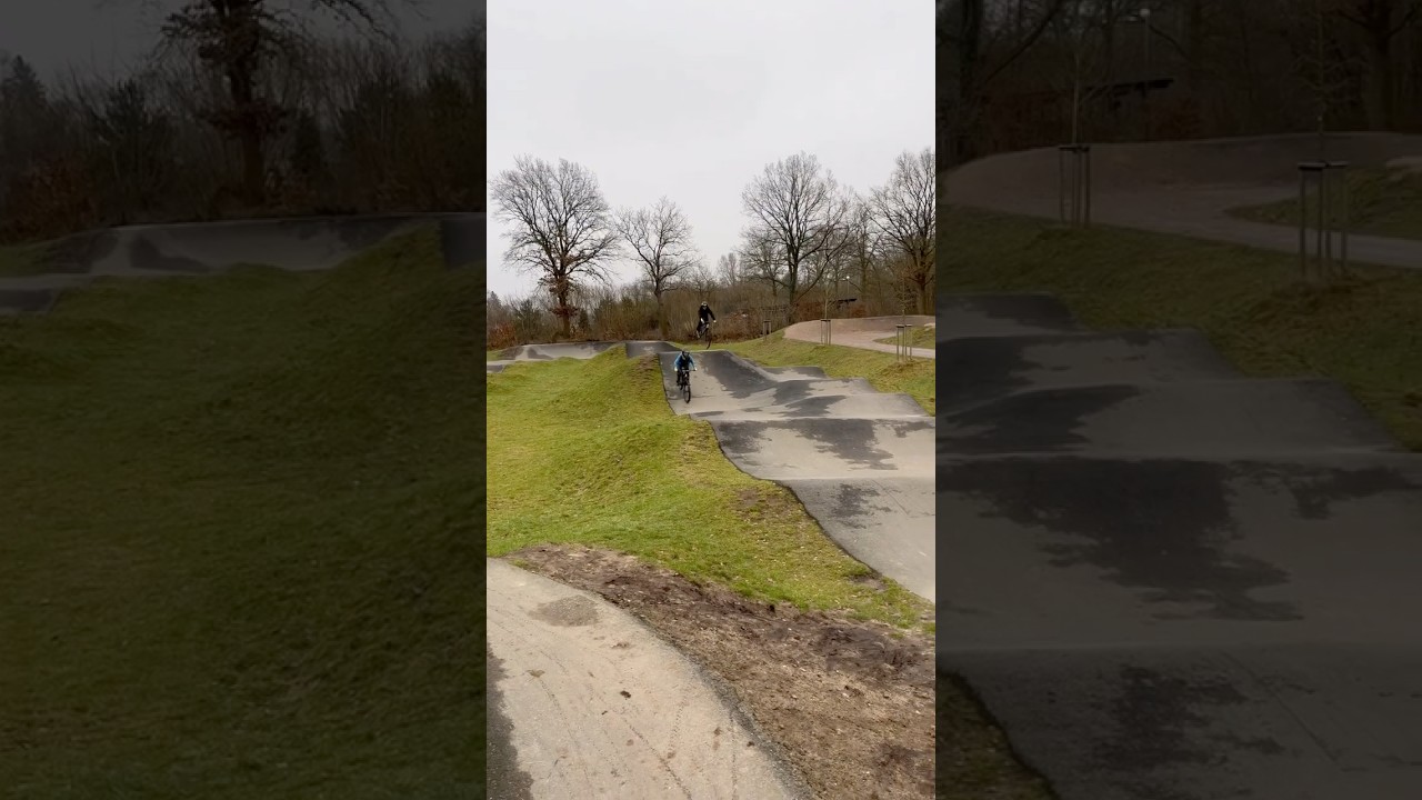 Bikepark Rellingen #shorts #mtb #sendit #mountainbike #dirtbike #dirtjumper #edit #rose