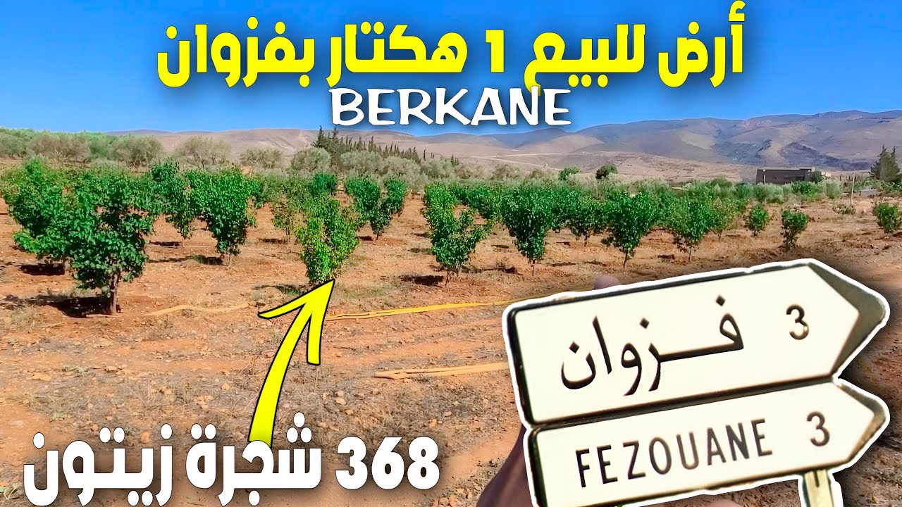 همزة أرض 1 هكتار للبيع بالقرية السياحية فزوان فلاحية و مسجلة في المجال الحضري وبها 368 شجرة FEZOUANE