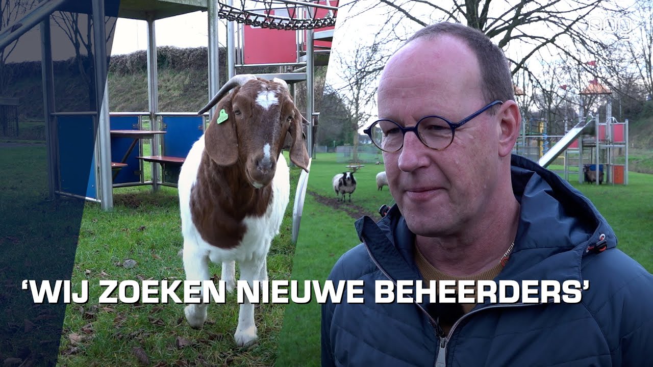 Dierenweide dreigt te verdwijnen.
