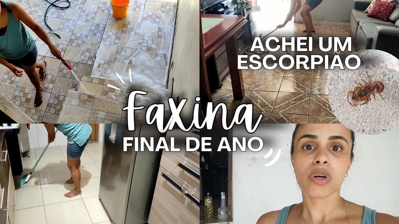 ÚLTIMA FAXINA DO ANO | DEUS TEM NOS LIVRADO DO MAL | ACHEI UM ESCORPIÃO EM CASA | RUMO A 2026 