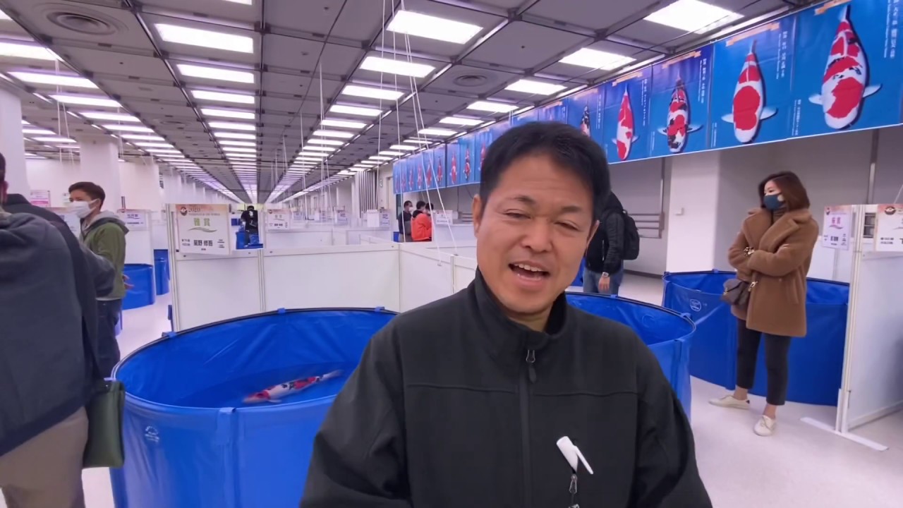 2020 All Japan Koi Show in Tokyo