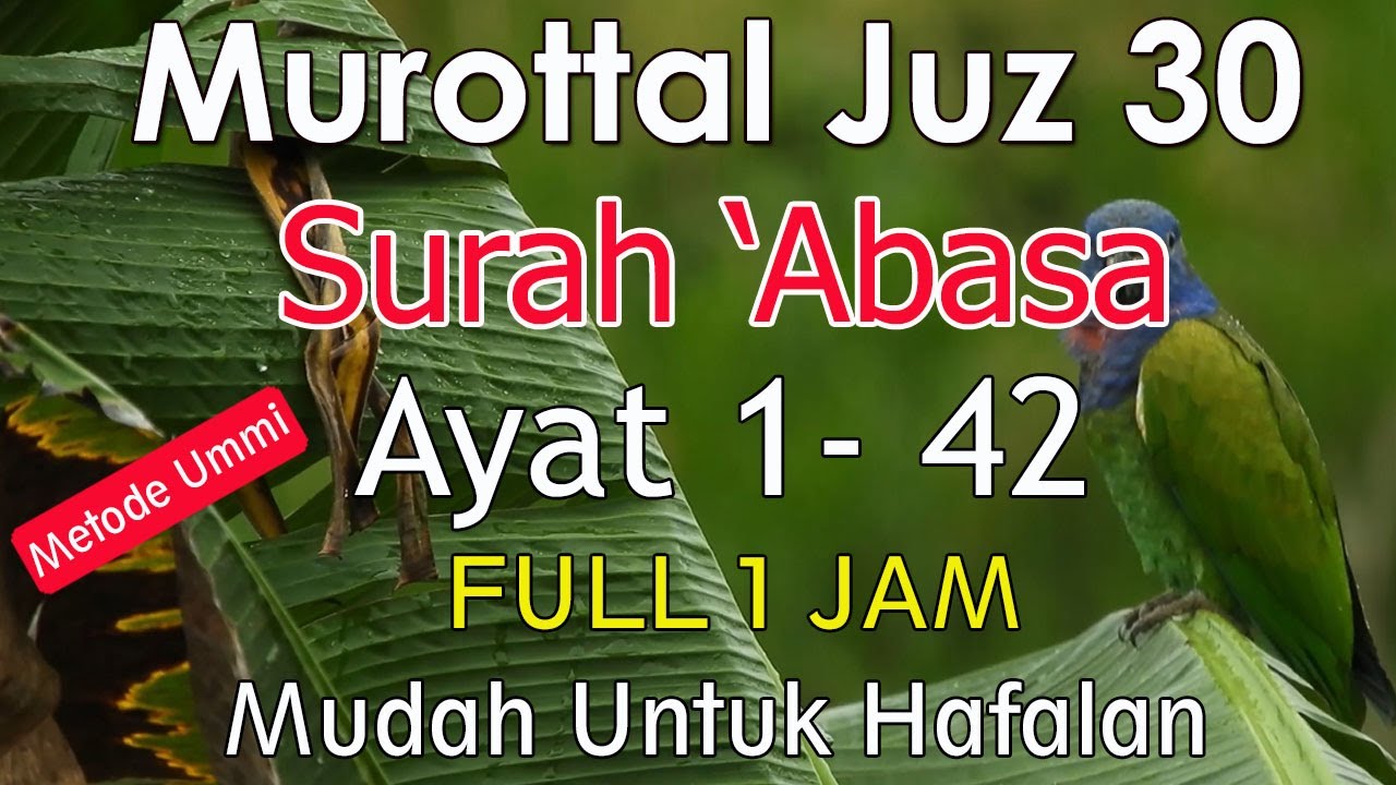 Surat Abasa metode ummi | Murottal juz amma surat abasa  1-42