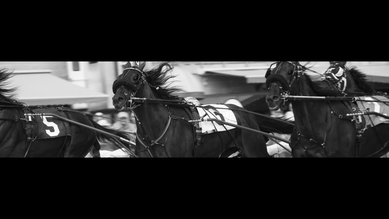 Grand River Raceway, SEPTEMBER 19TH, 2025, LIVE RACING
