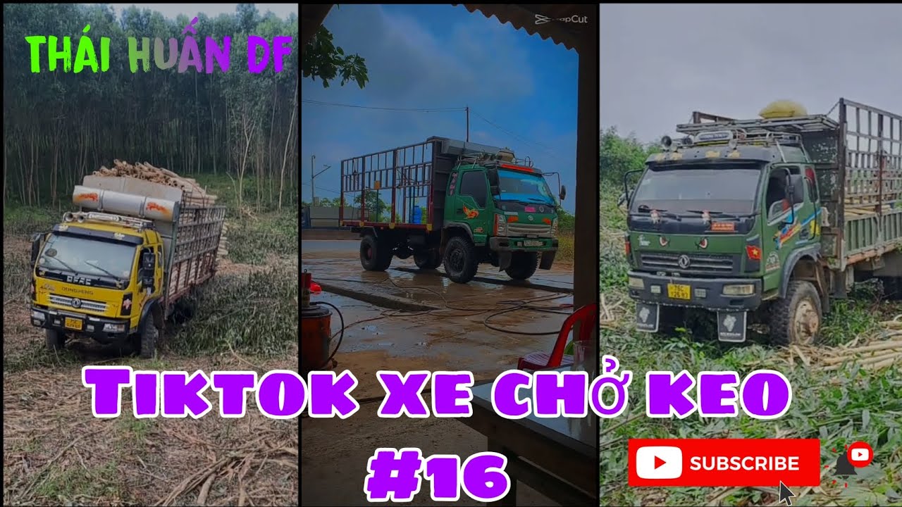 Tiktok xe chở keo #16 #TháiHuấnDf