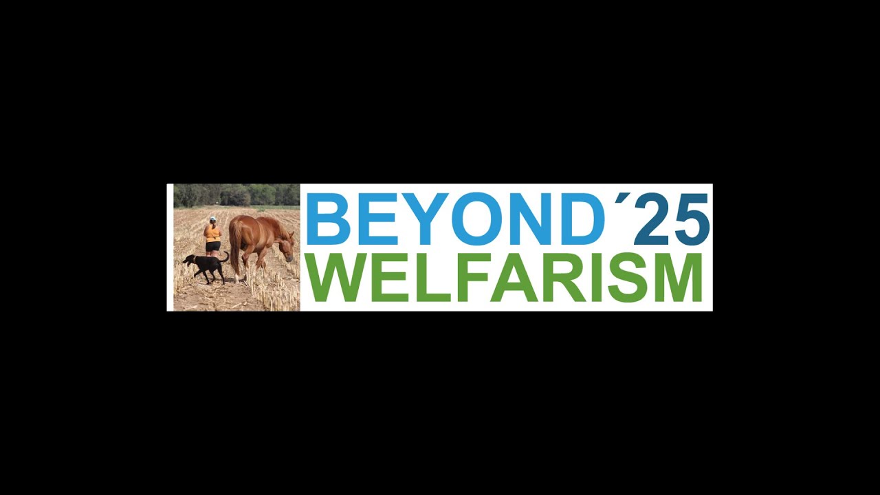 Beyond Welfarism 2025 Debate: Ethics, Culture & the Future of Horse Well-Being