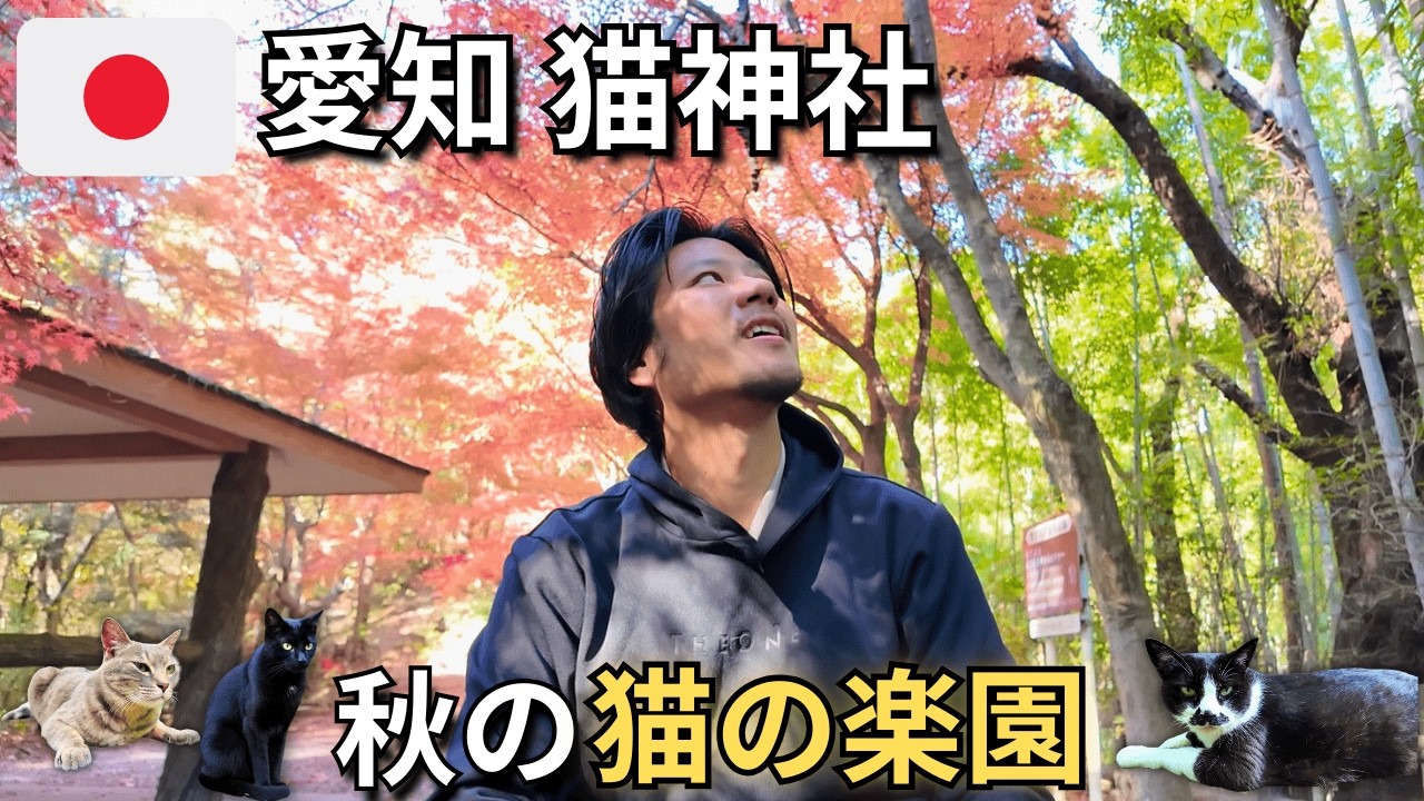 Осенние Краски и Кошки в Японском Храме 🐈🍁 Айти, Япония🇯🇵 [РУС СУБ]