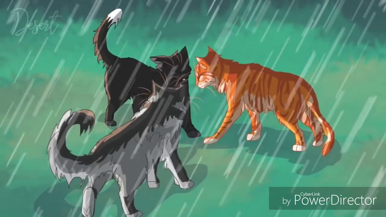 Ravenpaw x Barley LGBT Ship AMV Can't help falling in love