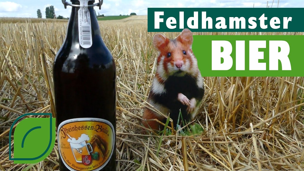 Das Feldhamsterbier ist da!