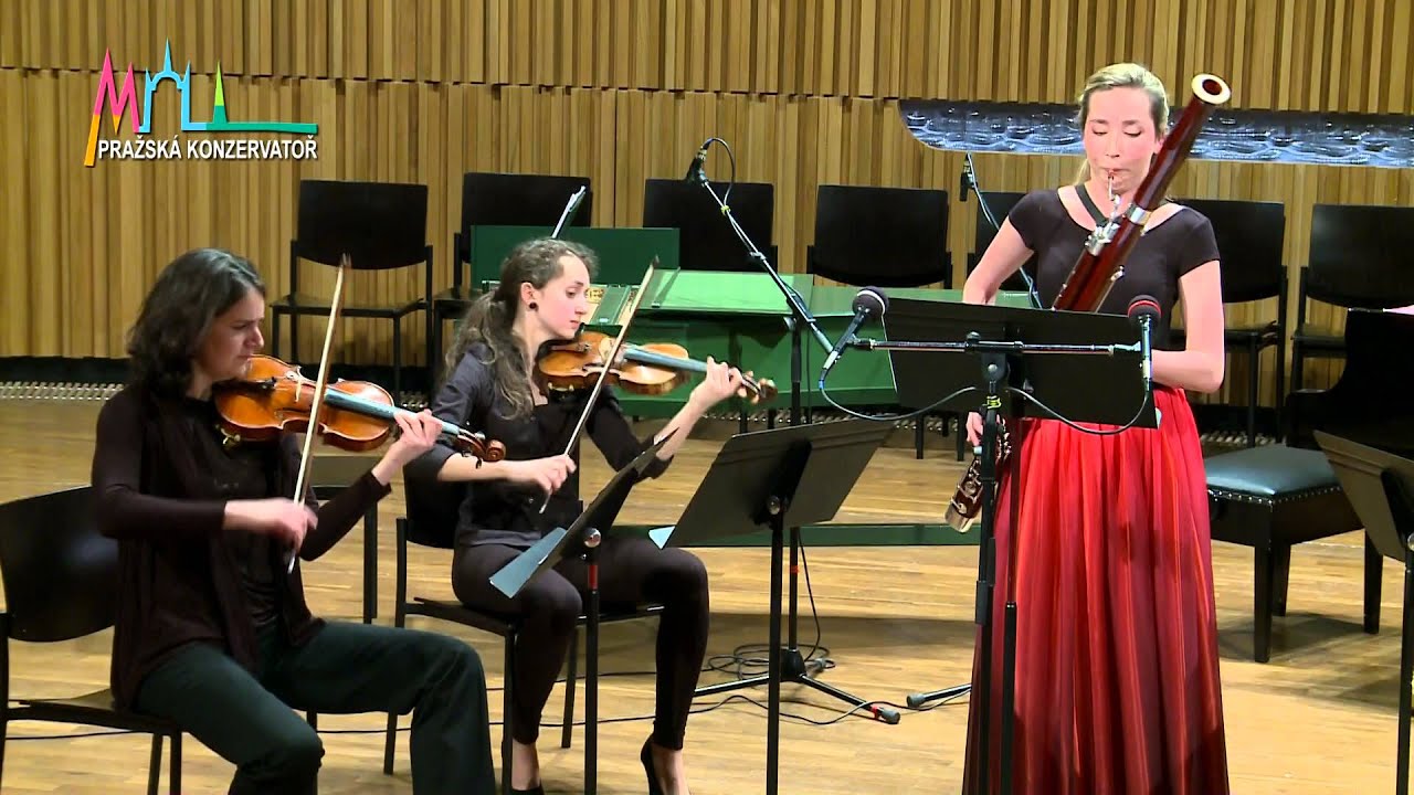 Ástor Piazolla - Escolaso (bassoon and strings, Michaela Špačková)